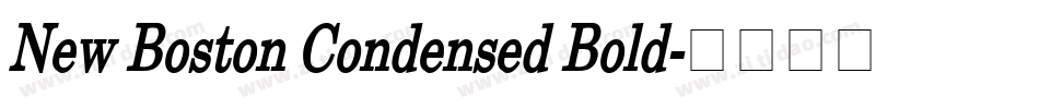 New Boston Condensed Bold字体转换